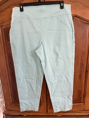 Alfred Dunner size 16W Light Aqua Pull-On Cropped Pants with faux pockets.